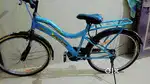 2 month old cycle