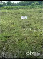 Front of bal sampreshan grih nayadhaba chikhali