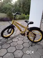 Vector 91boom cycle