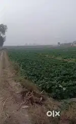 Agricultural Land for Sale in Ghaziabad