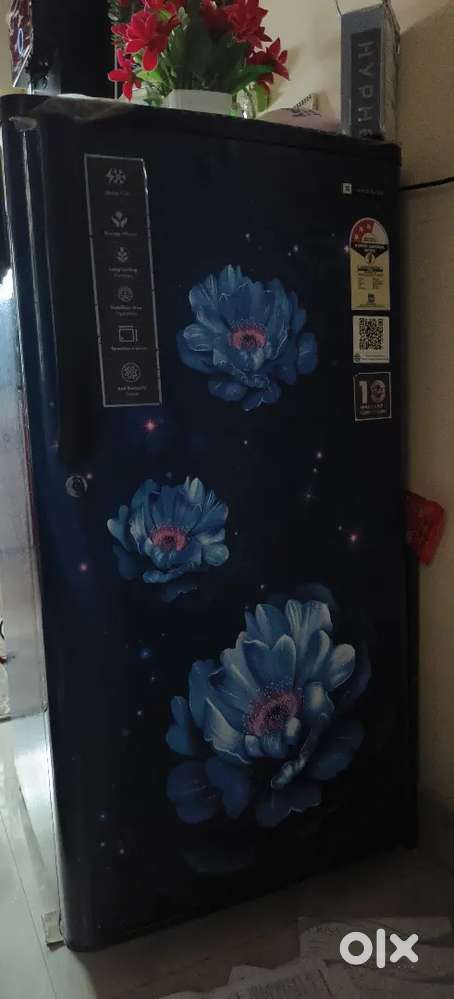 Freeze with very good condition