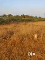 Plot near thuvakudi to thirunedungulam via.