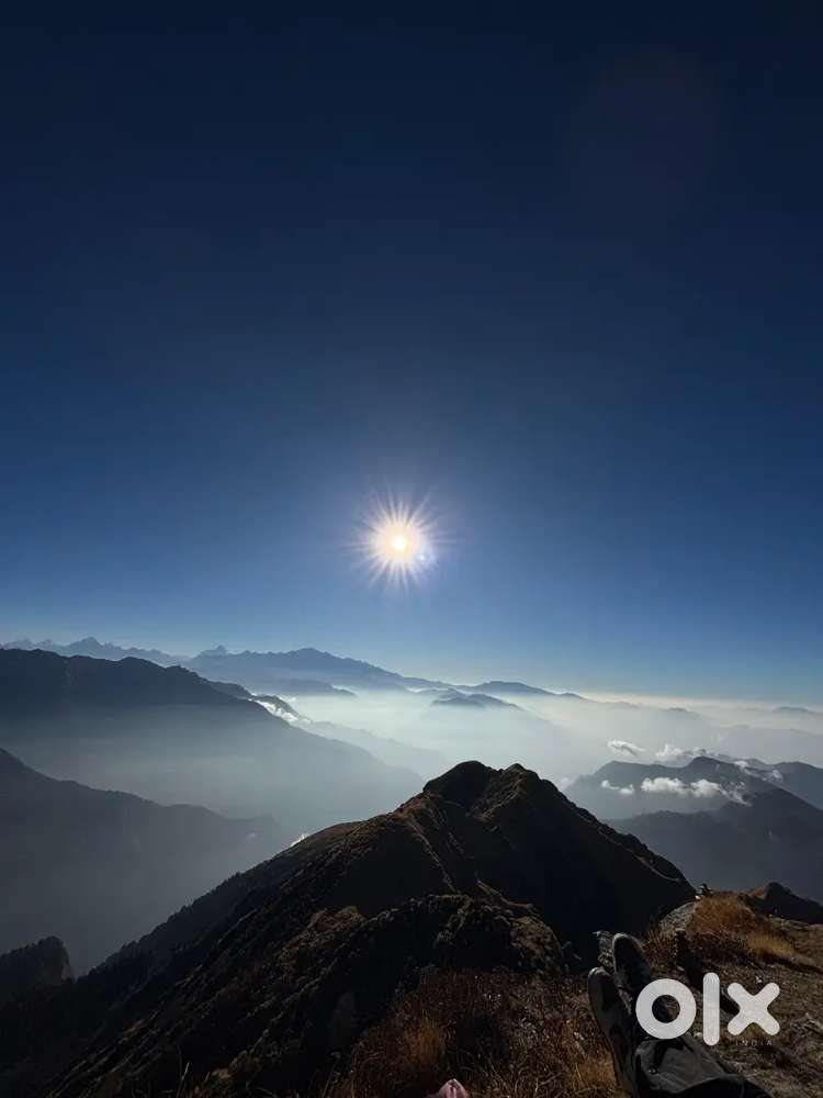 Female for Traveling & modeling job