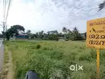 NH 66 Frontage 98 Cent Land for Sale – Varapuzha