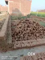 Plot for sell