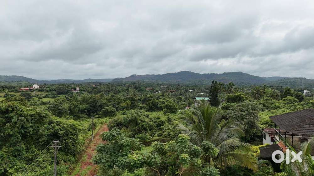 Aldona corjuem 945sqmtr plot settlement 48asking rate