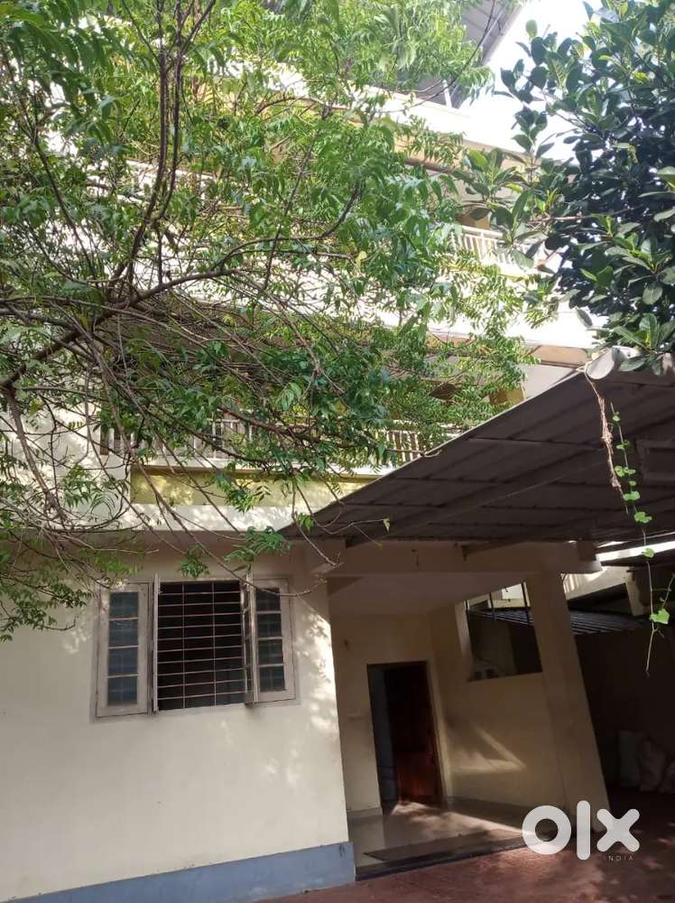 Food &Accommodation for girls only,