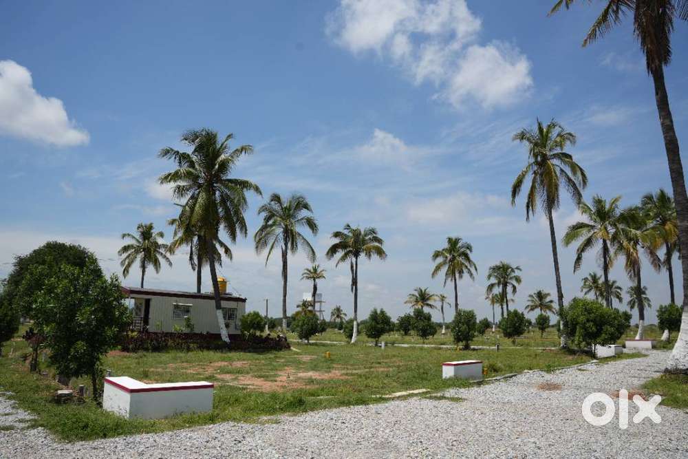 Turn Weekends into Visits – Explore Plots Near Airport