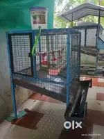 Chicken cages