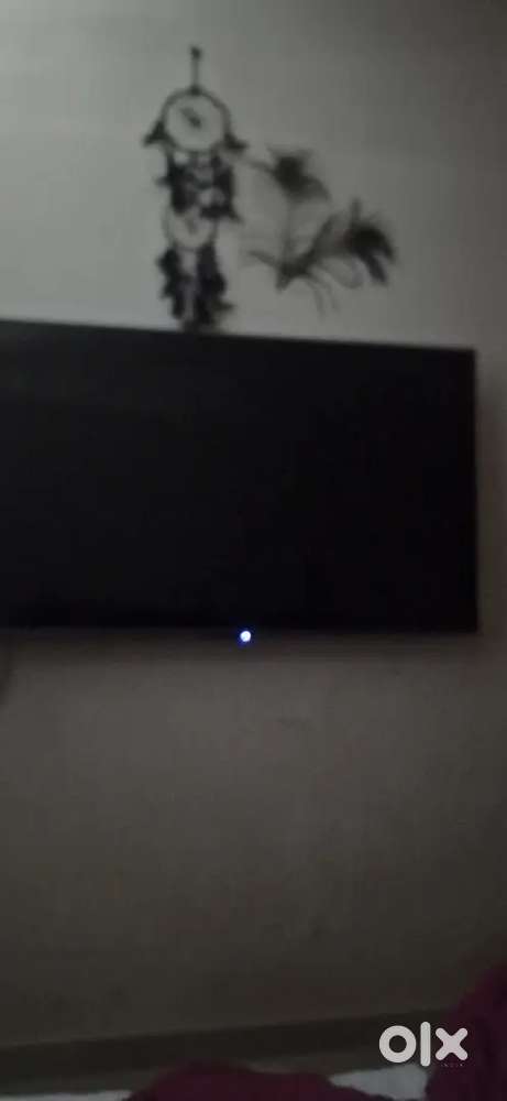 Tcl 55 insch QLED