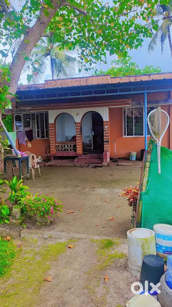 Water fron 14 cent good area