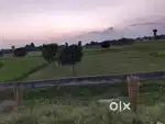 2 bigha jaiga bikri ache nh34 er akdom pase