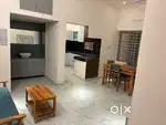 Newly built  fully furnished 2 BHK apartments on rent
