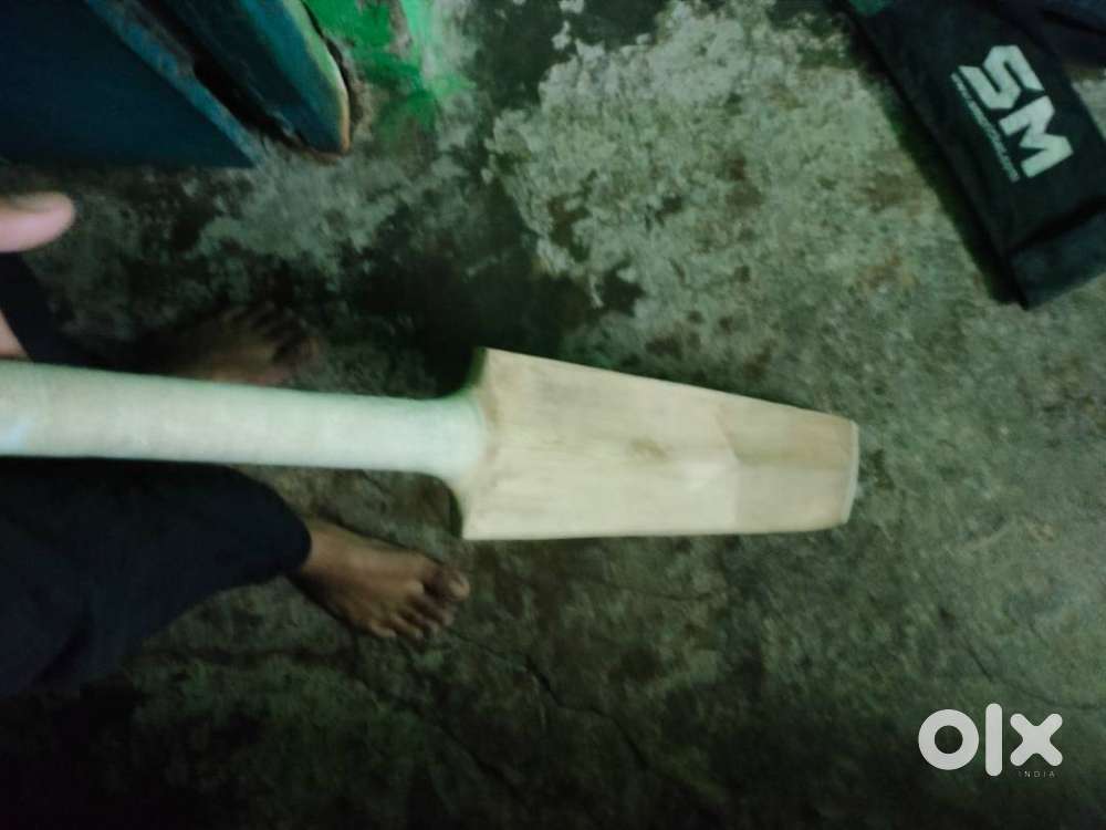 Cricket kit 2 month old