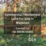 Commercial / Residential / House Plot For sale in Wayanad