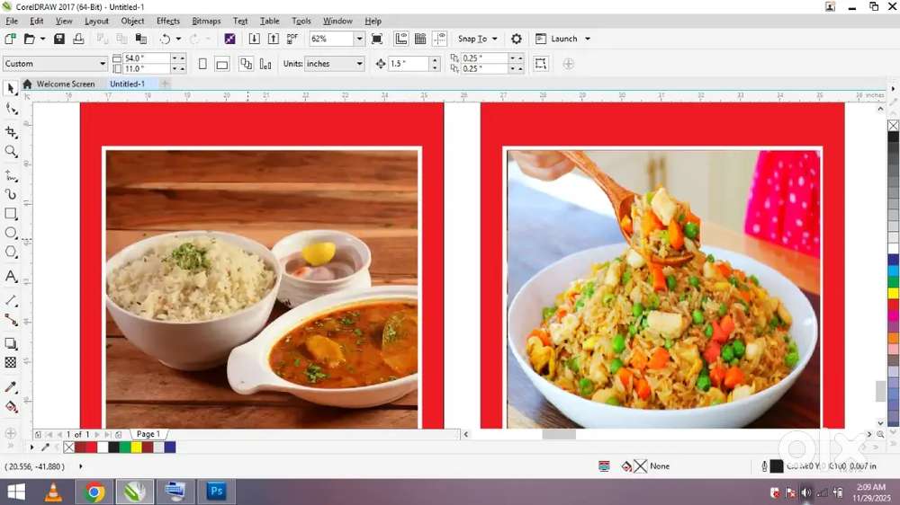 Fast food Chinese biryani cook