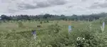 Industrial land for sale in kalapatti