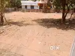 10 സെന്റ് വസ്തു വാളത്തുങ്കൽ ഹയർ സെക്കന്ററി സ്കൂളിനു അടുത്തായി ടാർറോഡ്