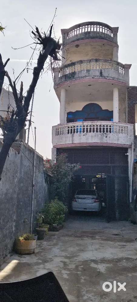 Sweet home and large