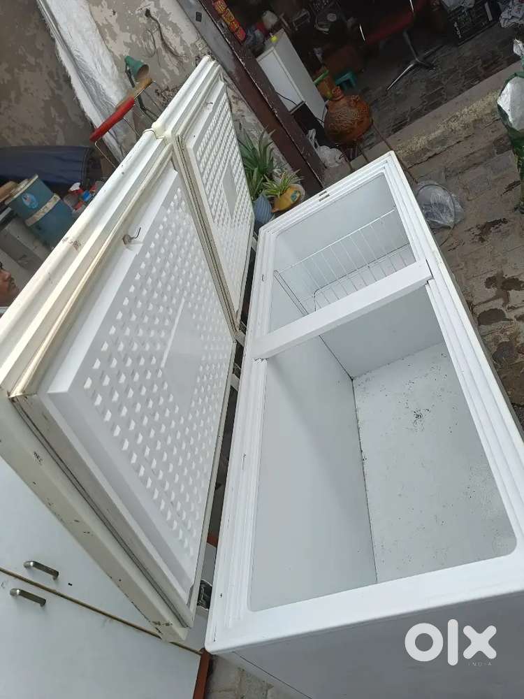 500 liter blue star  deep fridge