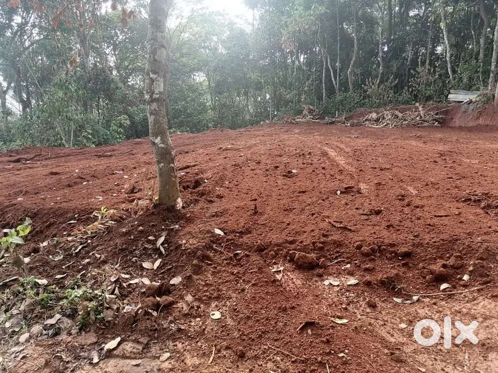 13cnt House plot for sale mananthavadi 5th mail