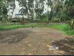 4 cent plot for sale at chullickal