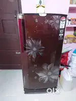 Godrej Edge Pro Fridge