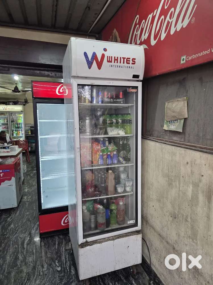 Best candidness very cooler