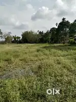 Baruah plot