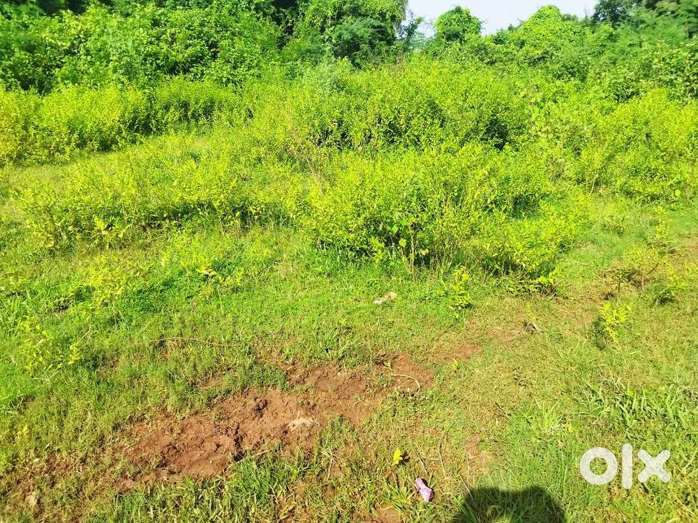 Kottur tadepalli vijayawada