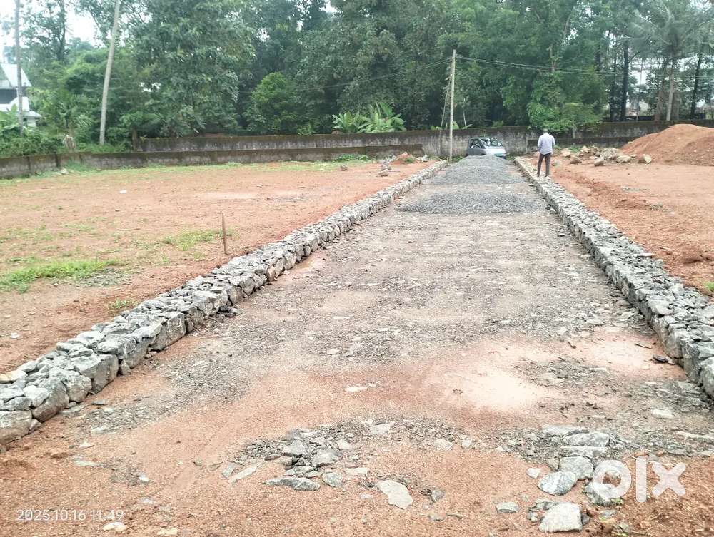 തിരുവാങ്കുളം അടുത്ത് വെണ്ണിക്കുളത്ത് പ്ലോട്ട് വില്പനയ്ക്ക്