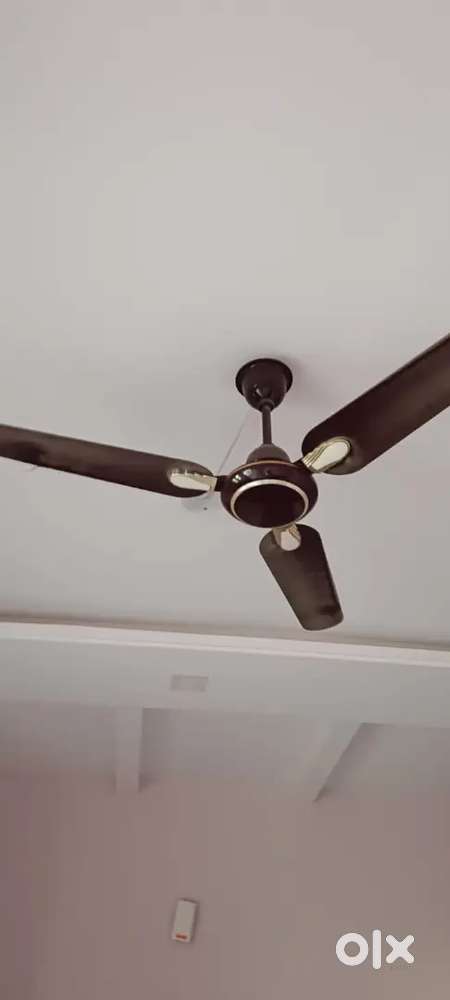 Beside bhumika nagara arch. Hi-tech hospital road .davanagere