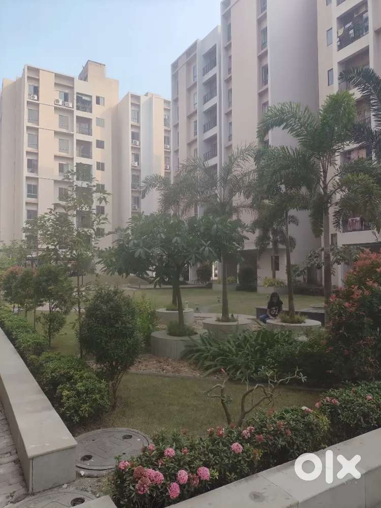 Flat Rent in Complex at Kamalgazi