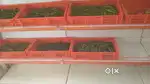 Shri Dutt vegetables