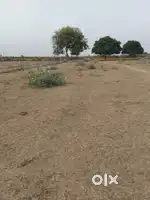 Agriculture Land for sell