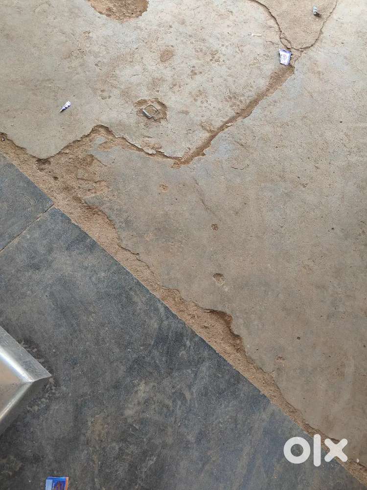 New plot  phale aao phale paao