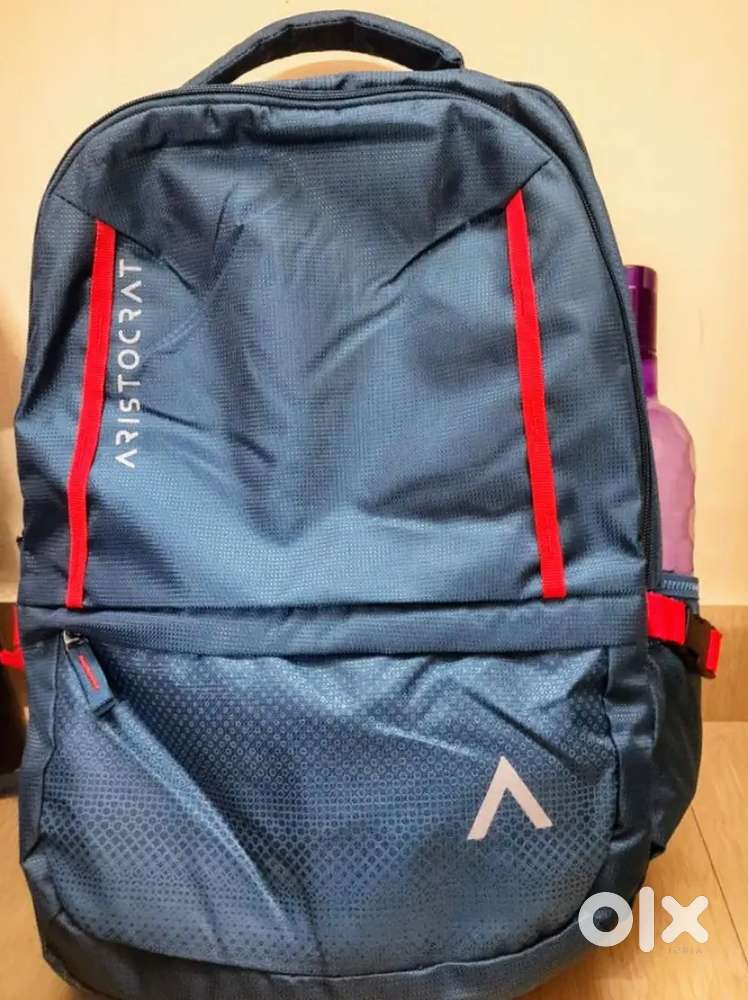 ARISTOCRAT 28L Solid Pattern Nord LAPTOP BACKPACK Blue