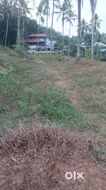 10 Cent plot for sale in palode peringammala