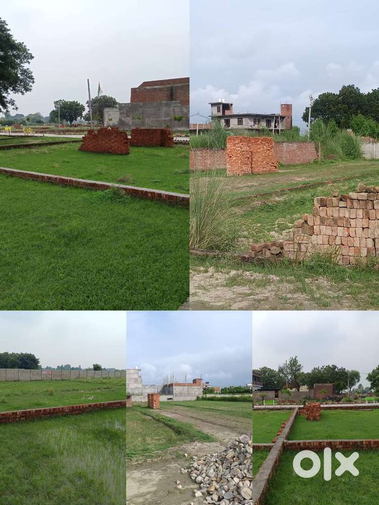 Kalli purab tikra