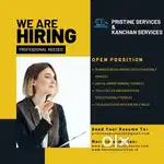 Sales executive