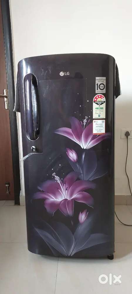 LG Inverter Refrigerator 190 Litres