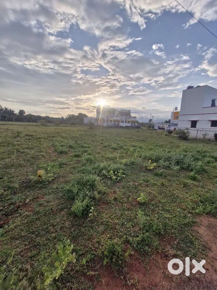 3.5Cents Dtcp regularized site for Sale Poonga nagar