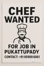 Chef and kitchen helper needed