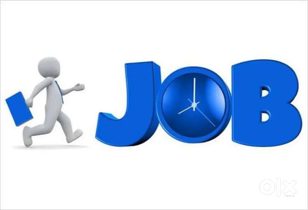 Back office, Team Leader, telecalling