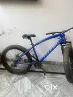 Fat tyre cycle