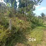Plot for Sale in Wayanad Kalpetta
