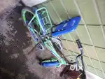 5 years kids