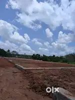 House plot edapally pathadipalam changampuzha nagar near 3.4 cent