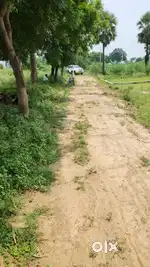 अपनी जमीन अपना घर तुरन्त मकान बनाए