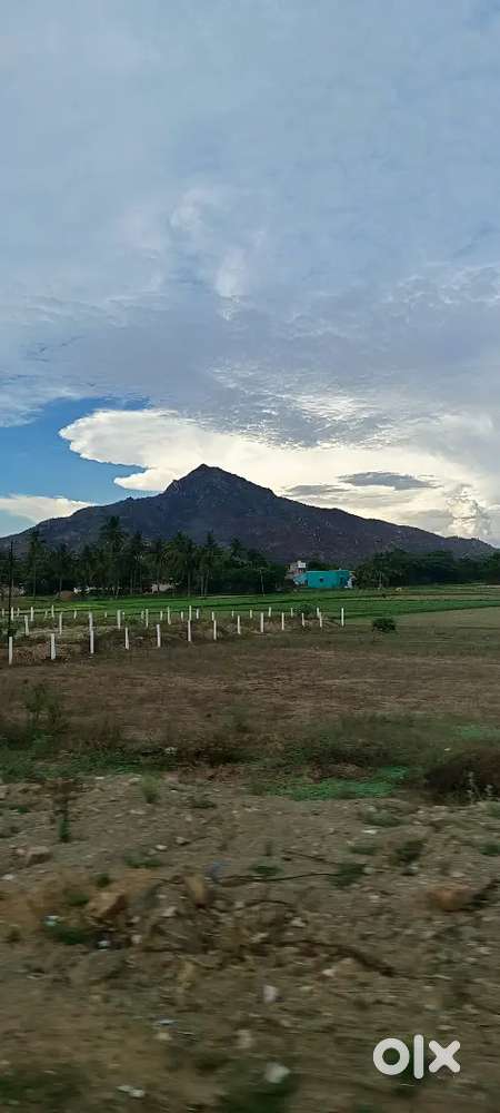 Best investment in thiruvannamalai